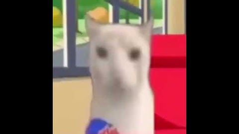 cat eating chips meme tiktok