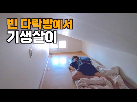 여행중 텅빈 다락방 신세로 보낸 일주일 - 국내13