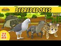 Depredadores Episodio Compilación (Español) [Parte 1/3] - Leo, El Explorador | Animación - Familia