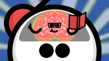 2 Hours Of Random Facts To Make People Think You’re Smart