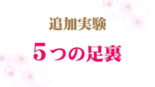 追加実験2「５つの足裏」