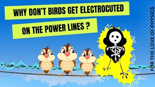 Why don’t birds get electrocuted on the power lines ?