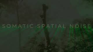 SOMATIC SPATIAL GREEN NOISE™  | 60 FPS GRADIËNT ART | 8K HDR | 24-BIT | Msc Reference Series™