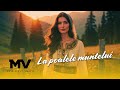 Manelele Viitorului La Poalele Muntelui Official Video