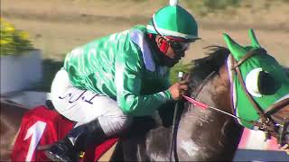 Vidéo de la course PMU PRIX RIACHUELO