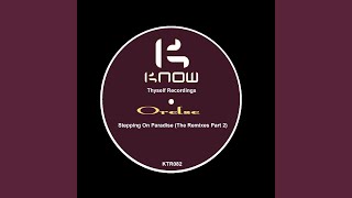 Stepping On Paradise (Dontknower Remix)