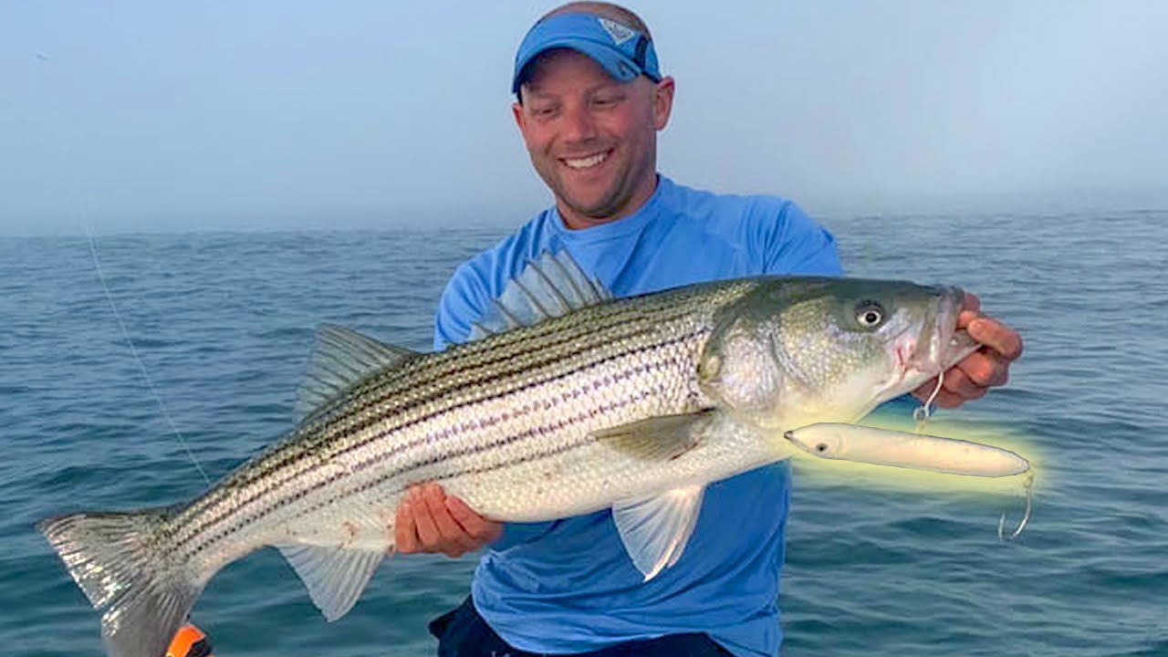 Big Stripers on Topwater Lures - On The Water