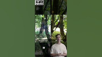 Tree HUGGING DRONE, GRIPPING DRONE .HUGS TREE TO LAND 😅