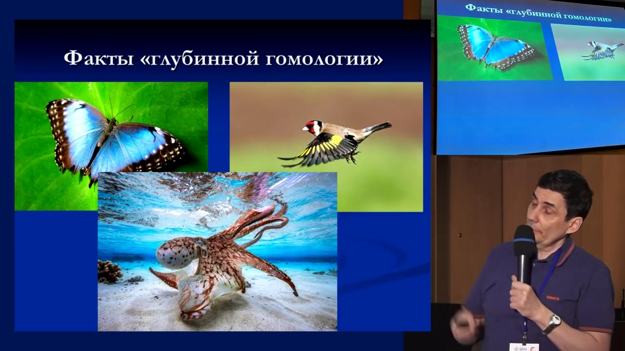 Теория разумного замысла или дарвинизм? За и против. Илья Рухленко ...