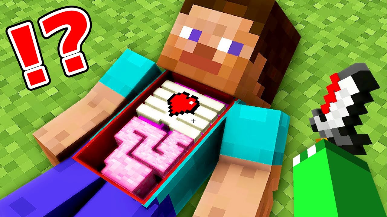 モブを手術で救うマインクラフト【まいくら・マインクラフト】