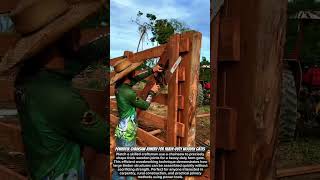 Powerful Chainsaw Joinery for Heavy-Duty Wooden Gates #satisfying #construction #diyprojects