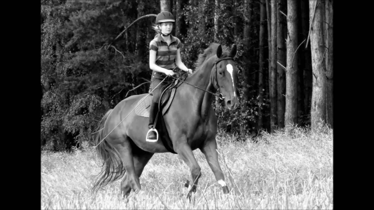 Goodbye Wispher gekämpft, gehofft und doch verloren :( ♥