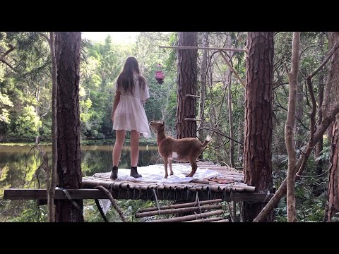 Summer Days in the Rainforest: Building a Bamboo Treehouse!