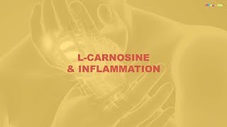 Carnosine and Alcoholism, Reproduction, Inflammation and Longevity