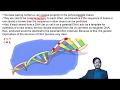 L5: Watson & Crick Model of Double Helical B-form DNA by Vipin Sharma