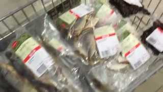 Fish in bag