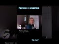 Круговорот причин и следствий | Ольга Лайт