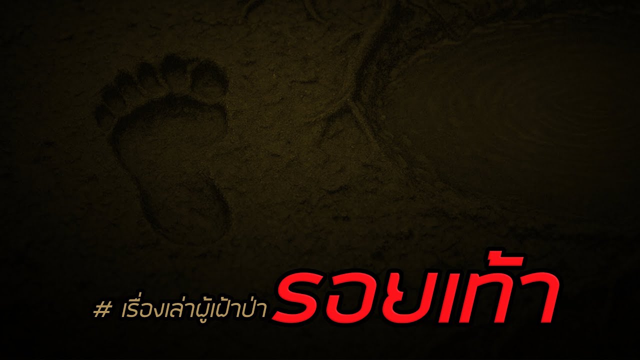 รอยเท้า /  เรื่องเล่าผู้เฝ้าป่า