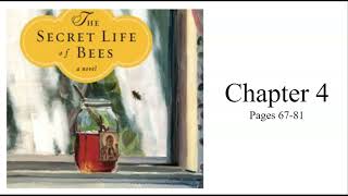 The Secret Life of Bees Chapter 4 (pages 76-81)