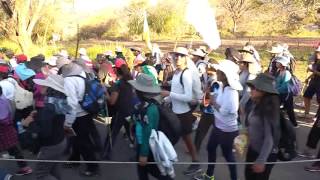 Peregrinación del Señor y la Virgen del Milagro, Salta, 2016