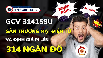 SÀN THƯƠNG MẠI ĐIỆN TỬ duy nhất ĐỊNH GIÁ PI LÊN 314 NGÀN ĐÔ