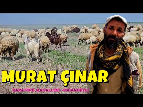 MURAT ÇINAR - HAYMANA KARALARI