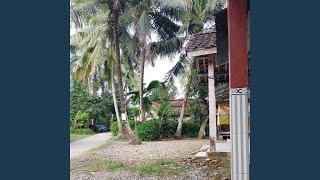 Download Lagu Cah ayu MP3