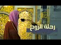 في ليلة استثنائية يرتل الشيخ أحمد بن طالب سورة الاحقاف محمد الفتح هدوء في ليلة استثنائية يرتل الشيخ أحمد بن طالب سورة الاحقاف محمد الفتح هدوء
