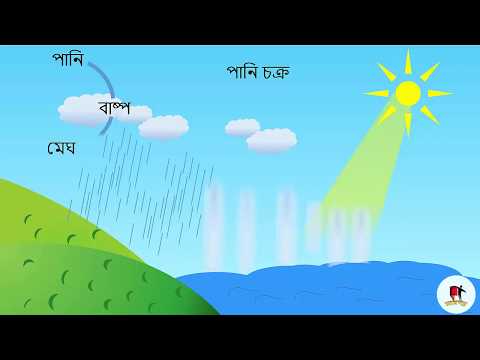 ভিডিও: জলচক্র কে আবিস্কার করেন?