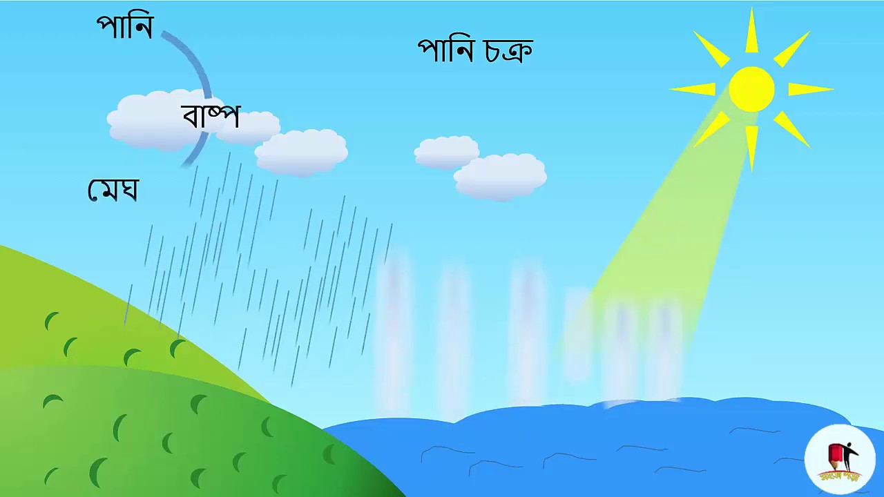 water cycle in bangla, পানি চক্র কী ? YouTube