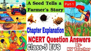 A Seed Tells A Farmer's Story (Page 174-177) Class-5 EVS हिंदी Explanation and NCERT Question Answer