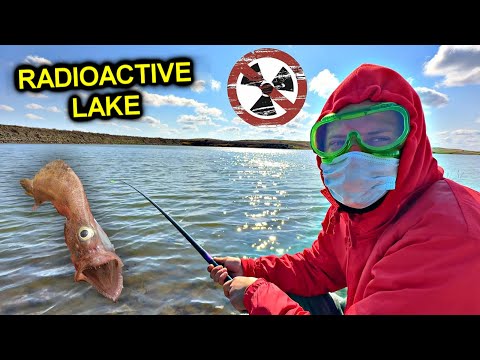 Видео: ✅Fishing on ATOMIC LAKE ☢️ MUTANT CRAYFISH 3 kg ☢️ Found the LOST CITY ☢️ Hiding from security