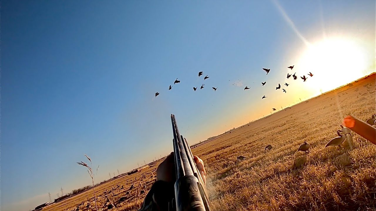 60 bird stack! 10 man goose hunt. - YouTube