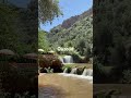 #maroc #nature #naturelovers #naturephotography #travel #trip #animals #birds #