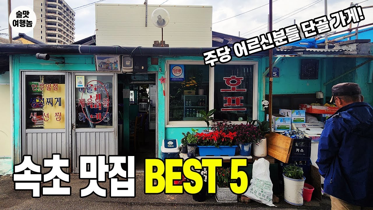현지인과 함께한 속초 맛집 BEST 5 ㅣ주당 어르신분들 단골 가게는 술맛 터지는 분위기!