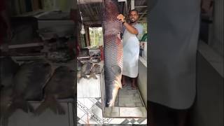 Do You Know World Fact Fact Vs Fake Real Vs Unreal Ai Videos That You Thought They Were Real