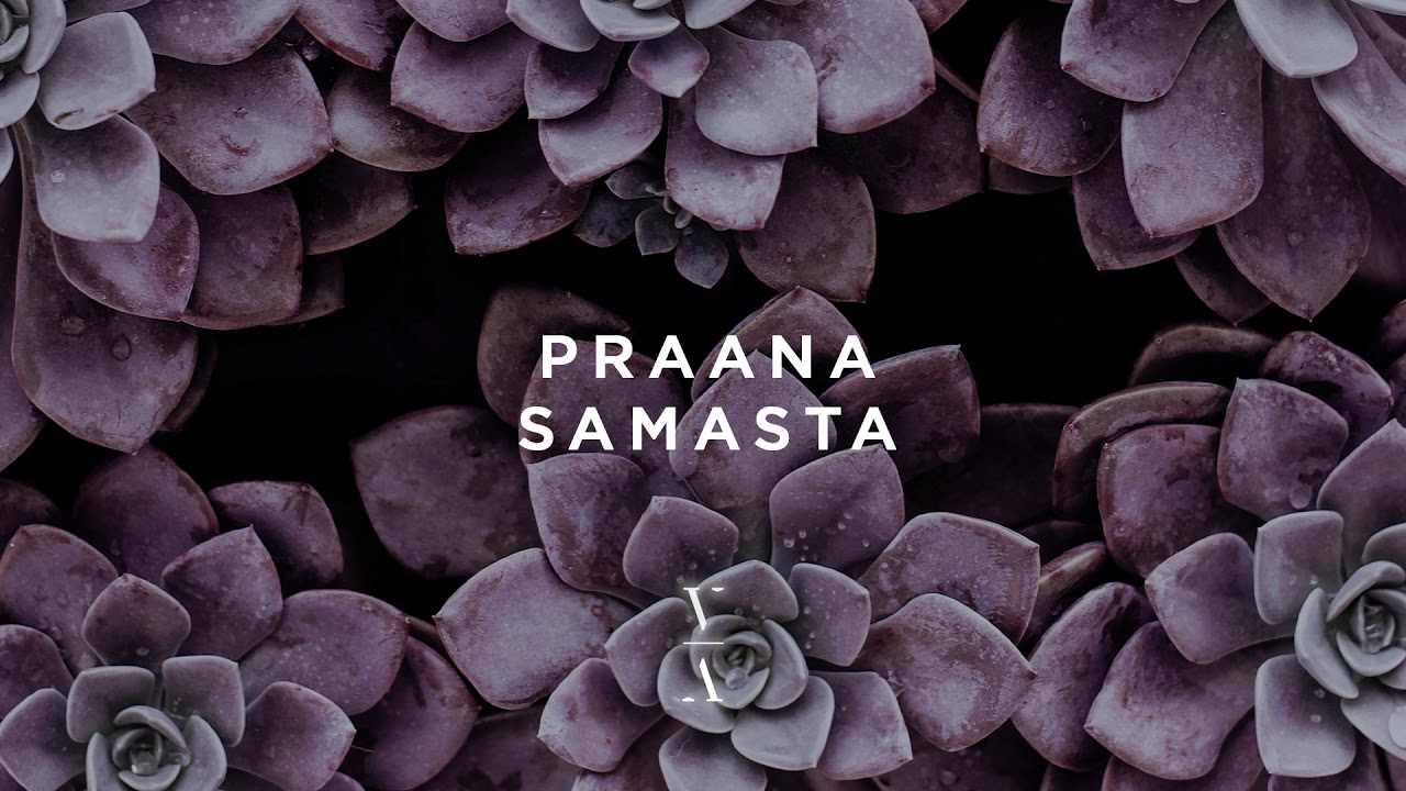 ⁣PRAANA - Samasta