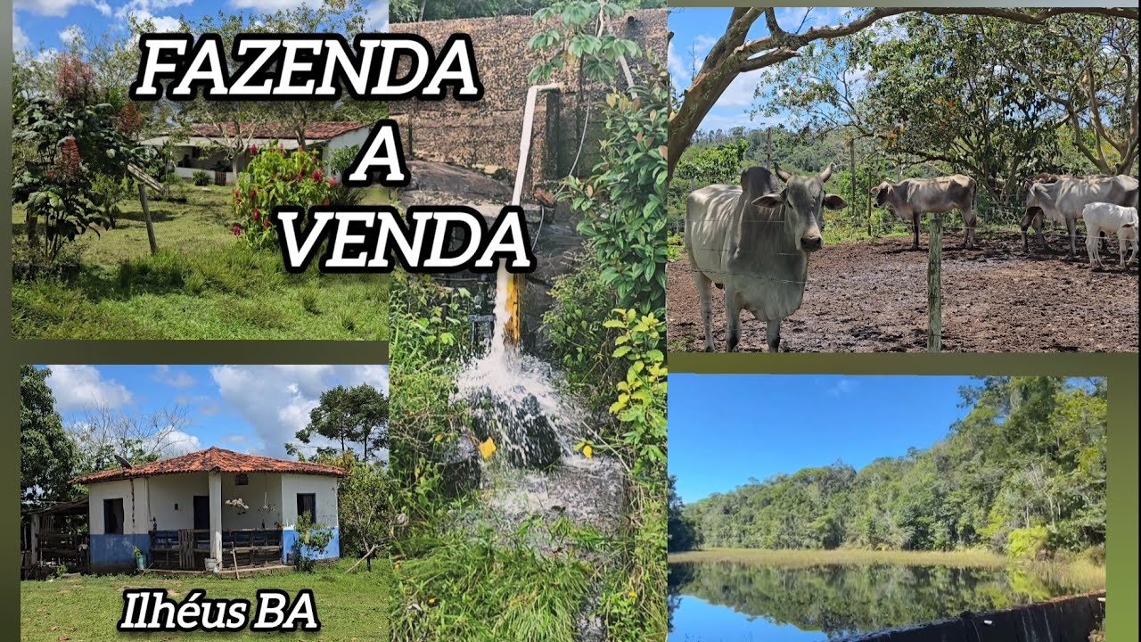 FAZENDA A VENDA NA BAHIA RICA EM ÁGUA  A 12 MIL A HECTARE  