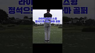 라이트사이드스윙 정석으로 치는 아마 골퍼 #골프 #short