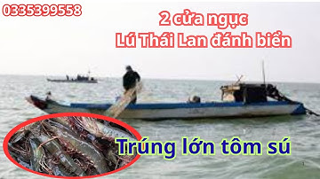12 cửa ngục - Lú Thái Lan lưới trắng và lưới cước xanh khung thép đánh biển
