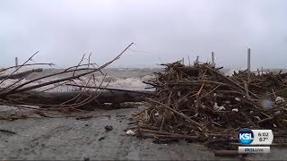Winds expose a mess on the shore at Bear Lake