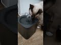 Демон Лёлик и Фантанчик #shorts