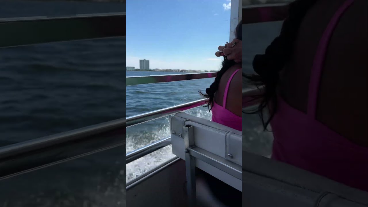 Idek If Yall Can Hear Me I Didnt Watch Over It Fyp Dolphin Dolphins