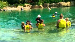 Discovery Cove - Dolphin Swim (Part 2 of 3)  2011