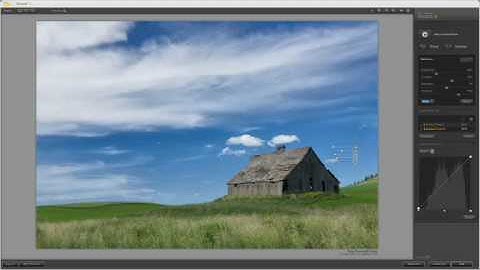 Nik Software Viveza 2 by www.colorfoto.pt