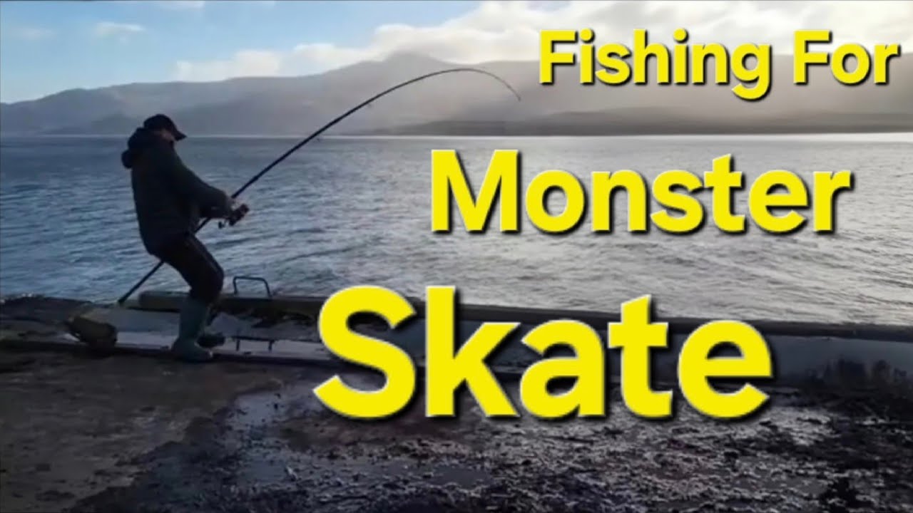 Giant Skate Spurdog & Dogfish, Fishing For Monsters A Highland Sea Fishing Adventure