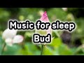 Budmusic for sleep  calm peaceful restful unwinding mellow chill easygoing leisurely