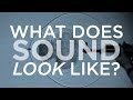 What does sound look like  skunk bear