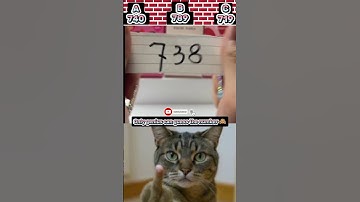 Only genius can guess the number 👀 | #edit #cat #usa #meme #troll #trollface #shorts #viral