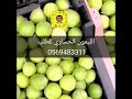 الليمون الحساوي الأحساء 